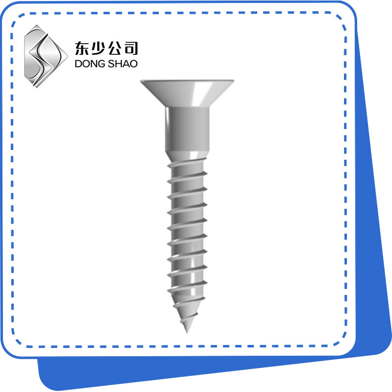 Izikulufu Zezinkuni Ze-Cross Recessed Countersunk Head Wood